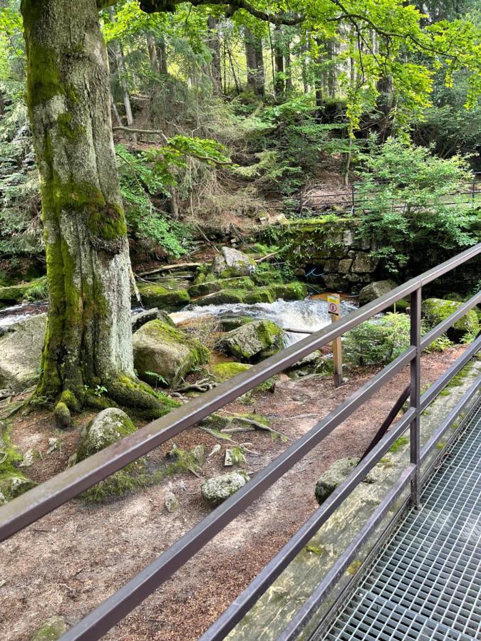 Dom Gorski Do Wynajecia 3 Km Od Karpacza Sudecka 100 Miłków Εξωτερικό φωτογραφία
