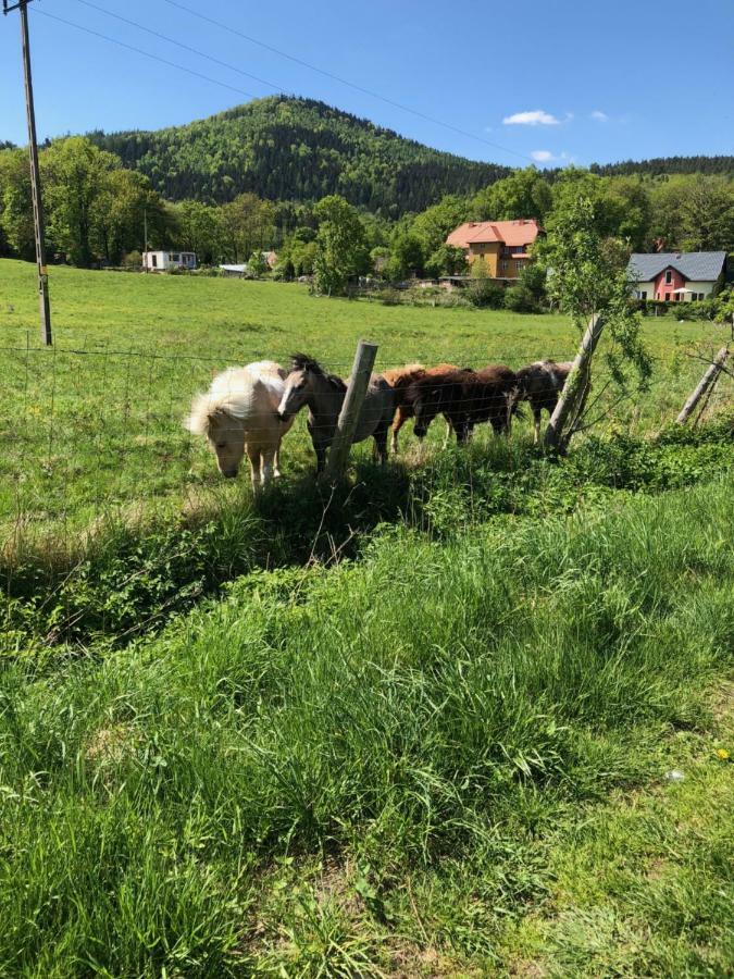 Dom Gorski Do Wynajecia 3 Km Od Karpacza Sudecka 100 Miłków Εξωτερικό φωτογραφία